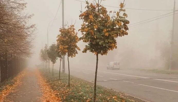 Украину накроют туманы и небольшие дожди: синоптики дали прогноз на понедельник