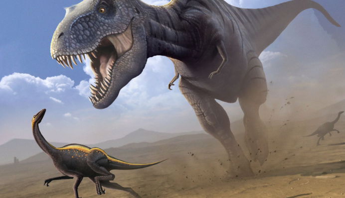 В Китае нашли самое маленькое в мире яйцо динозавра - его состояние идеальное