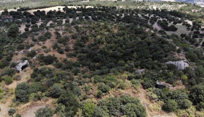 На узбережжі Туреччини знайшли грецький театр, якому 2400 років