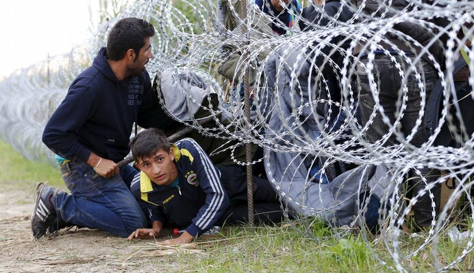 У Польщі затримали організаторів переправлення нелегальних мігрантів до Європи, серед них - українці