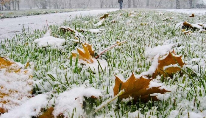 Ливни, снег и морозы: в Украине резко ухудшится погода