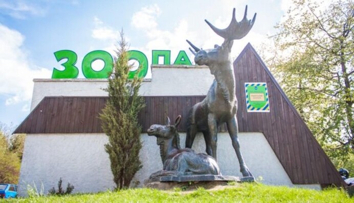 На території заводу на Рівненщині знайшли тіло мертвого лева: що про це відомо наразі