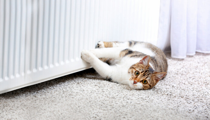 Названа дата включения батарей в квартирах Киева