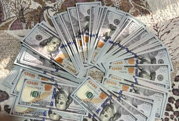 Одеський обласний МСЕК попався на "схемі"