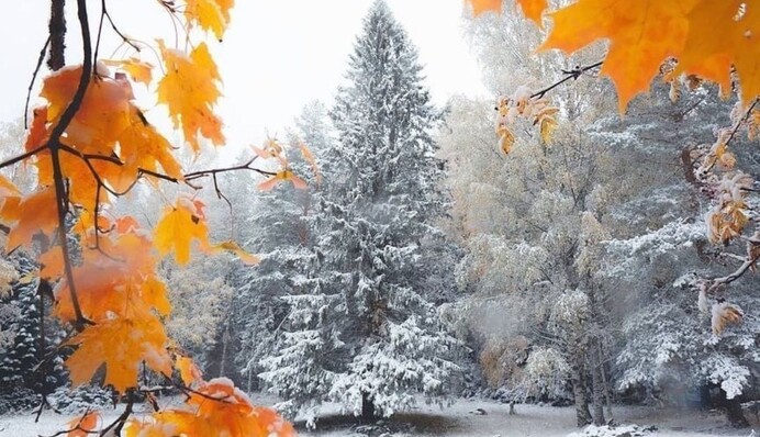 Украину уже на этой неделе заденет волна снегопадов - названы даты