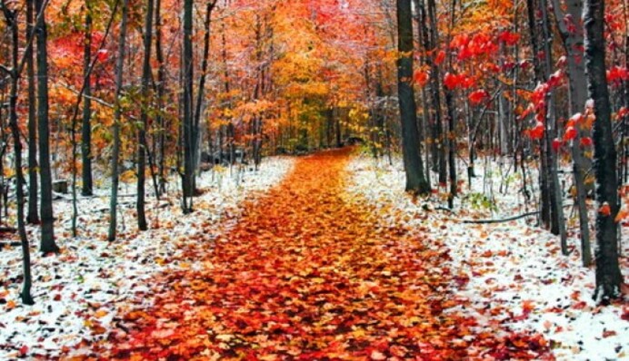 Ноябрь в Украине будет со снегом и грозами: метеоролог дал прогноз на месяц