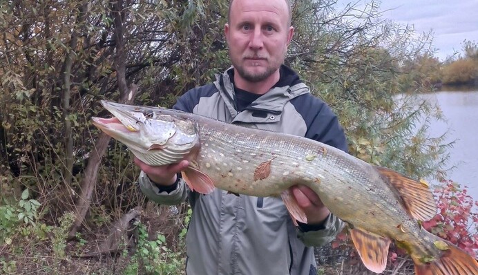 Українець-щуколов спіймав майже 8-кілограмового красеня