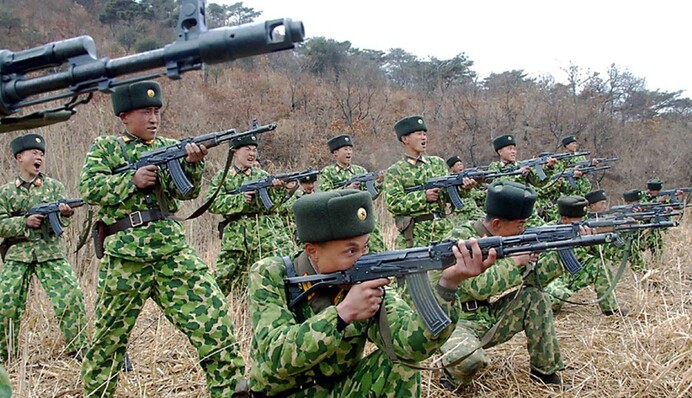 Снайперскими винтовками и не только: чем Россия вооружила северо­корейских 