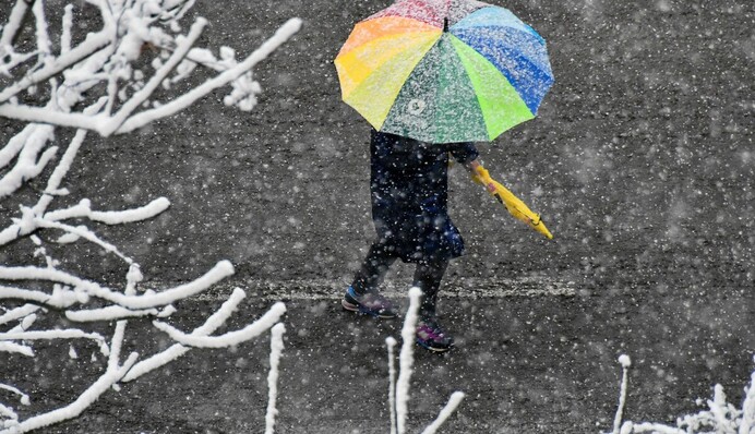 Штормовий вітер і мокрий сніг: новий тиждень прийде з негодою