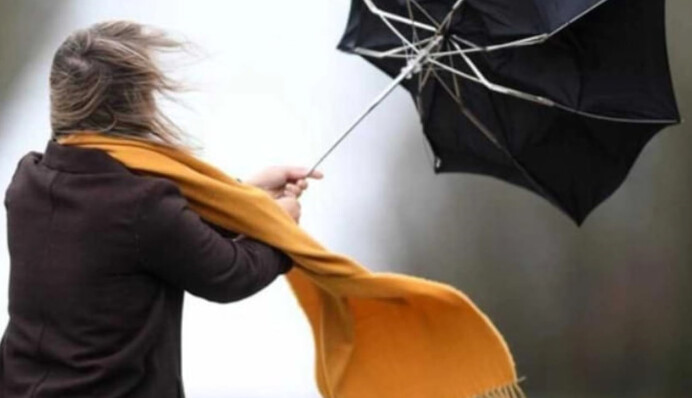 ​Сильний вітер валить дерева на дорогу: українців закликають триматися подалі