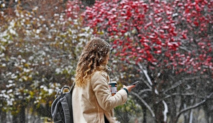 В Украину идет волна сильных снегопадов – синоптики назвали даты