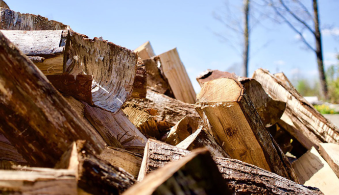 В «Слуге народа» объяснили, будут ли штрафовать за хранение дров для обогрева