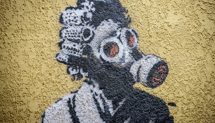 В Лаврі зберігатимуть графіті Бенксі