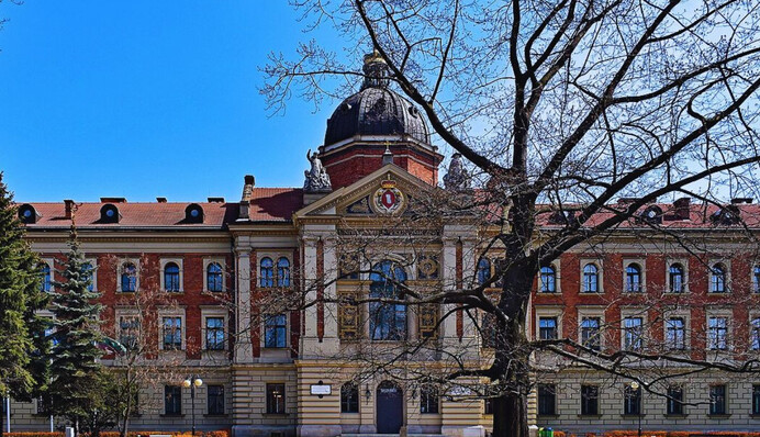 В Польше 45% от общего количества иностранных студентов – украинцы