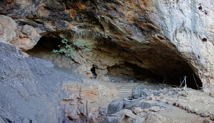 В Марокко нашли растение, которое было 