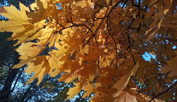 В Украину идет потепление - прогноз синоптиков на выходные