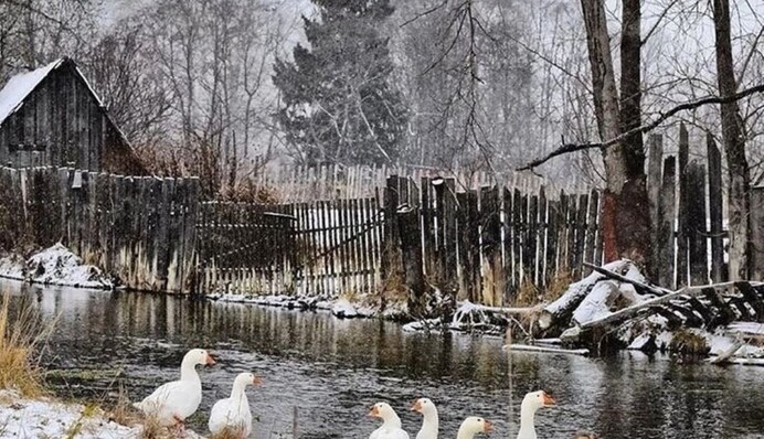 В Украине началась волна снегопадов – где и когда выпадет
