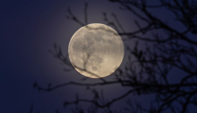 Четвертий Супермісяць за рік: коли можна буде побачити Боброву повню