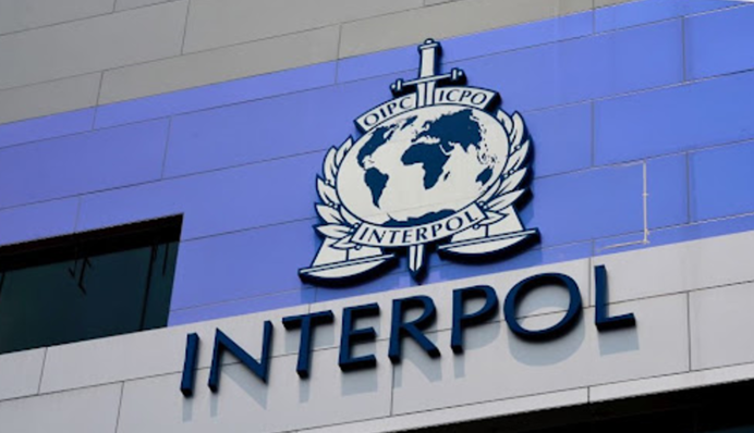 Україна просить Інтерпол виставити на нардепа Одарченка "червону картку"