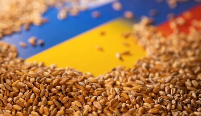 ​Крадене українське зерно росіяни вивозять суднами під іноземним прапором, - Плетенчук