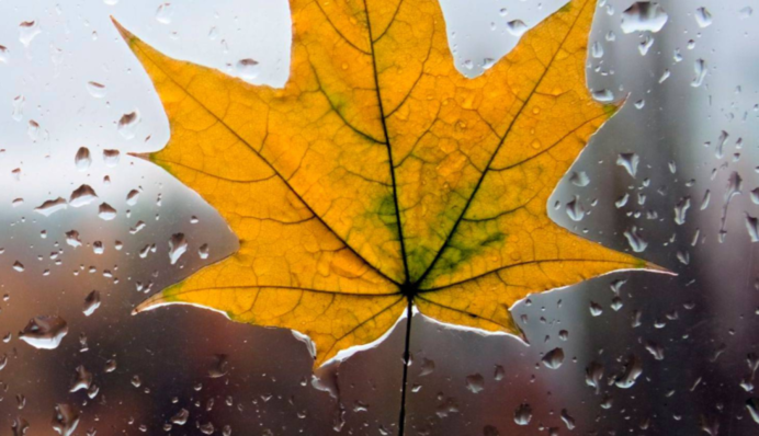 Синоптик предупредила украинцев о существенном изменении погоды