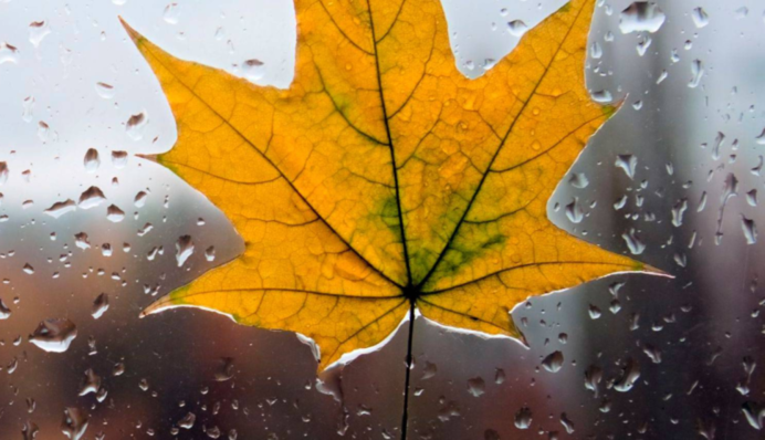 На Чернігівщині знищили "предмети гордості" окупантів