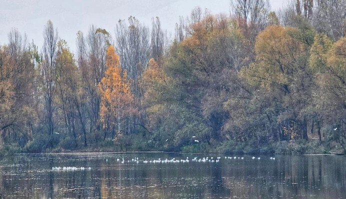После потепления в Украину идут дожди и мокрый снег