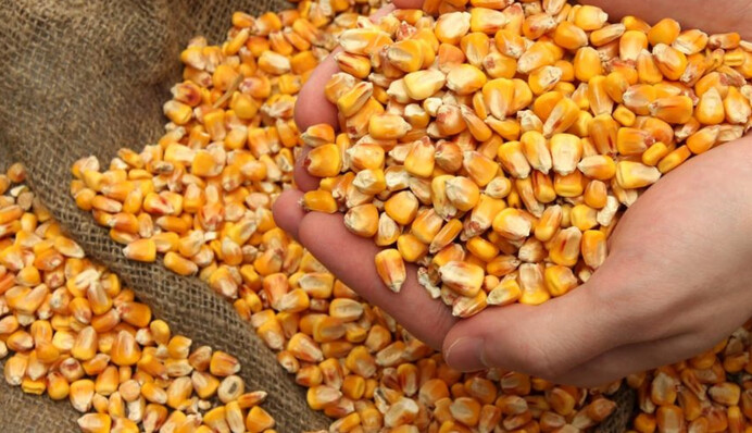 ​Цьогоріч Україна експортувала товарів на понад 36 млрд доларів і це більше, ніж за весь 2023 рік, - Свириденко