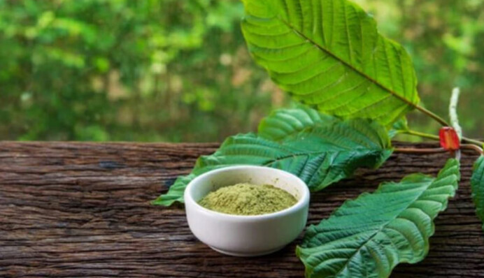 ​В українських кафе заборонили продавати Kratom