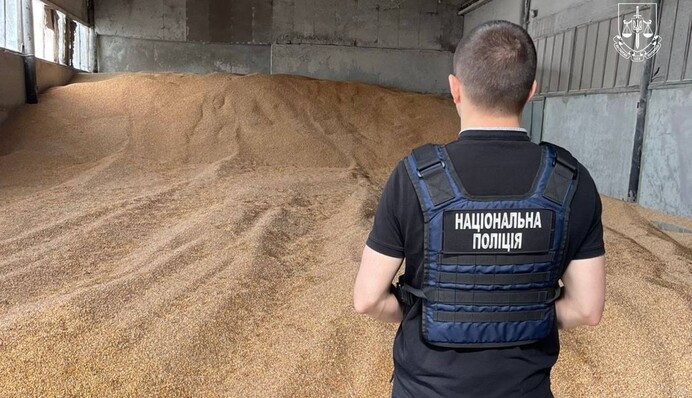 ​Депутат на Миколаївщині імітував знищення партії зерна внаслідок обстрілів