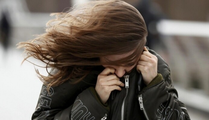 Жителей Киева и области предупредили о сильных порывах ветра