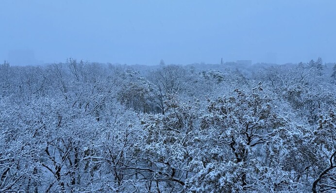 Киев засыпало первым снегом