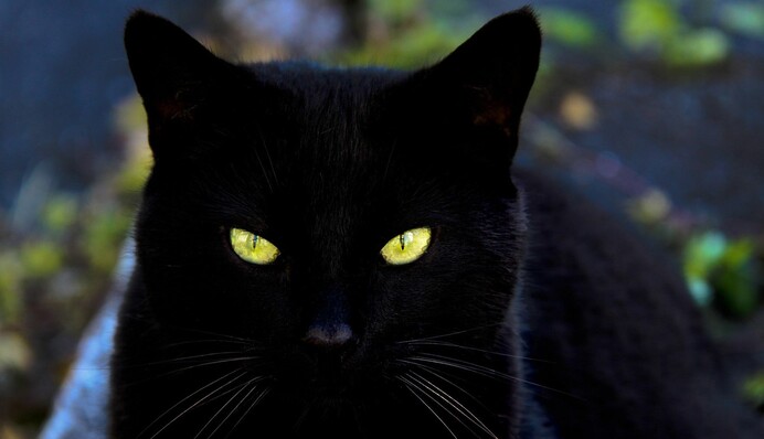 Розвідники розповіли про операцію ГУР-КІТ