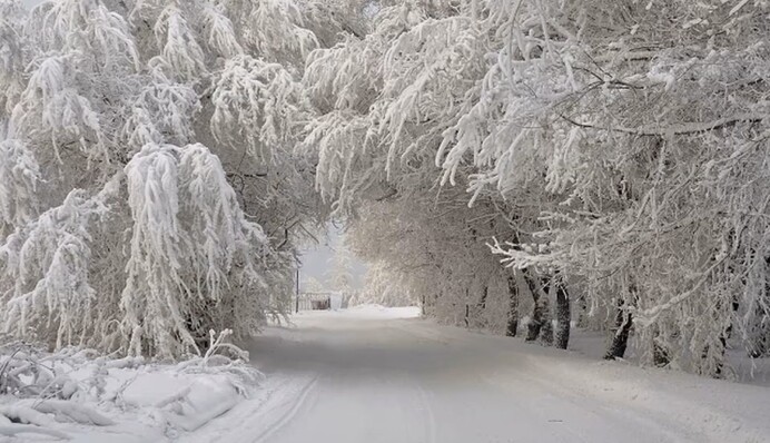 На Украину надвигается новая снежная волна - осталось меньше суток