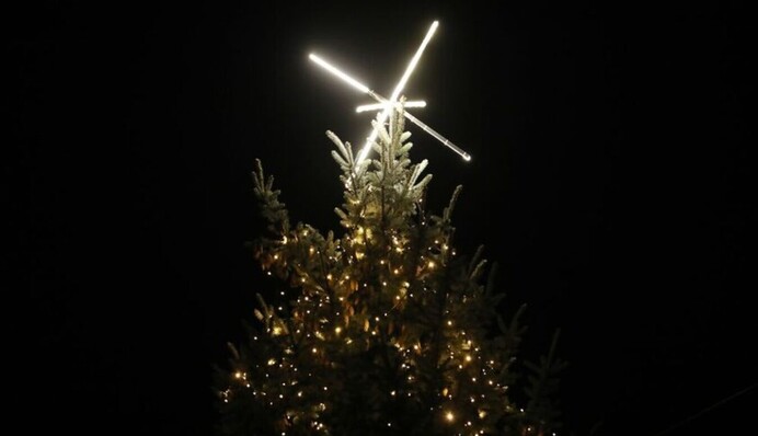 Горсовет Львова поделился историей нынешней главной елки - когда планируют зажечь