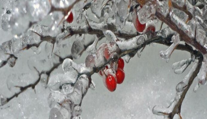 Снегопады и ледяные дожди: синоптики предупредили о приближении погодного Армагеддона