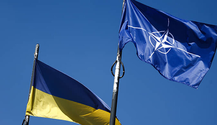 В МЗС зробили заяву щодо альтернатив членства у НАТО