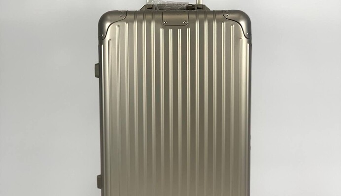 Чемодан Шольца оказался очень дорогостоящим