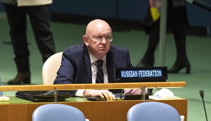 «Сами это говорят»: журналист оценил недалекость постпреда РФ в Совбезе ООН