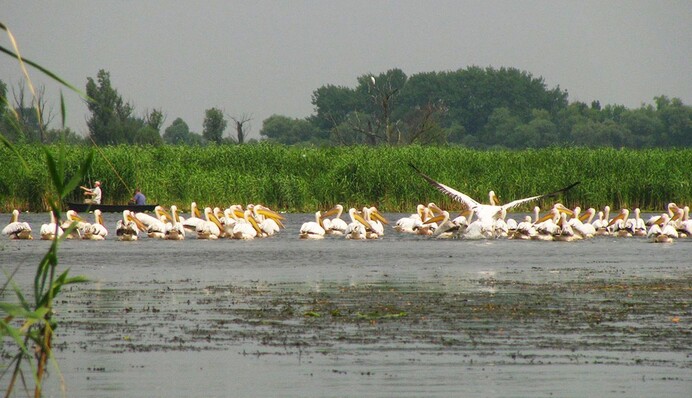 Російські військові тонуть, намагаючись висадитися на островах у дельті Дніпра: їх туди відправляють як покарання