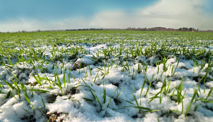 На временно оккупированных территориях оккупанты угрожают забрать у фермеров технику
