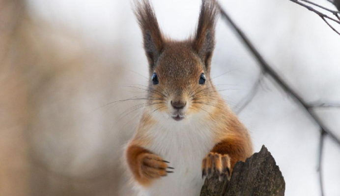 В Україну йде аномальне тепло: свіжий прогноз на тиждень по днях