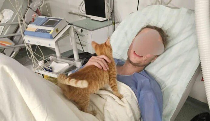 Украинец-уклонист чуть не погиб в горах - жизнь ему спас кот