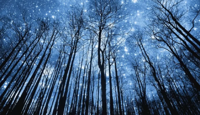 Найсильніший метеорний дощ року: українці зможуть побачити пік зорепаду Гемініди