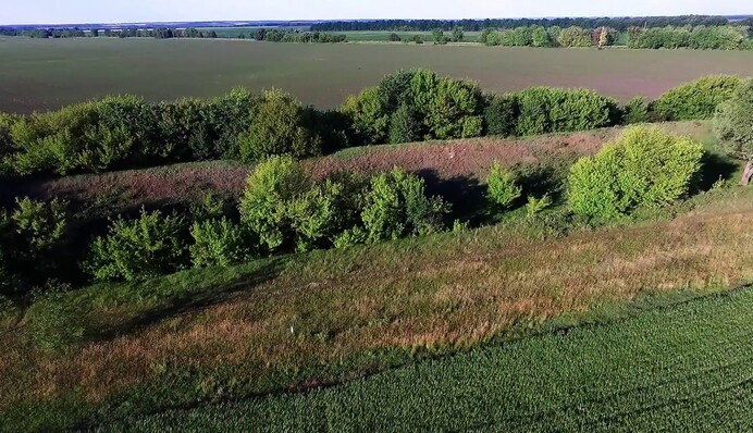 На Київщині на місці Змієвих валів хочуть збудувати котеджне містечко: голова ОДА звернувся до прокуратури