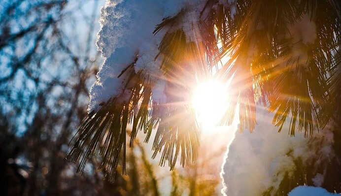 В Україну увірветься хвиля тепла – термометри підстрибнуть до +12