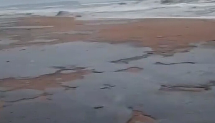 ​В России произошла экологическая катастрофа из-за аварии танкеров