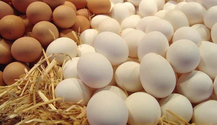 В Украине перепишут цены на яйца: сколько стоят и когда ждать подешевения