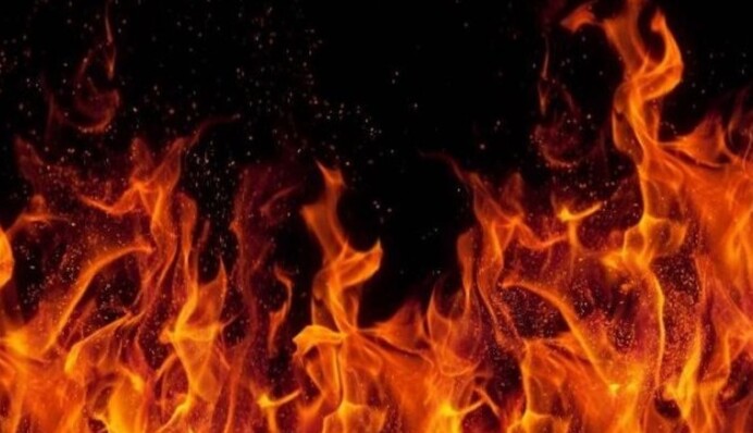 Українка врятувала шістьох дітей від пожежі