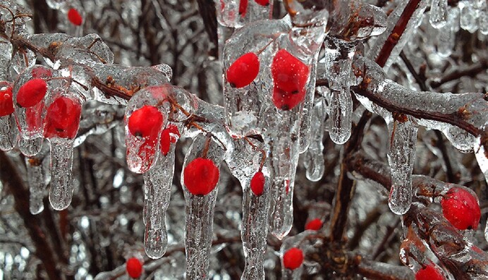 В Україну йде нова хвиля снігопадів з крижаними дощами: синоптики назвали дати